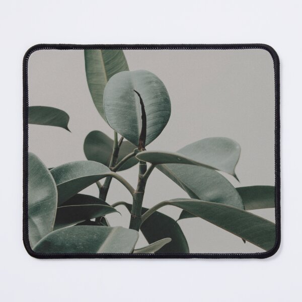 Item preview, Green Leafed  Plant designed and sold by 2rose.