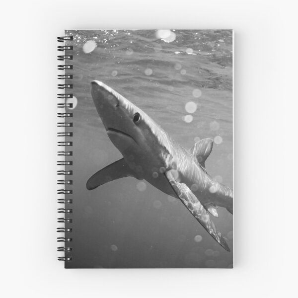 Item preview, Blue Shark B&W designed and sold by Heidi Ingram.