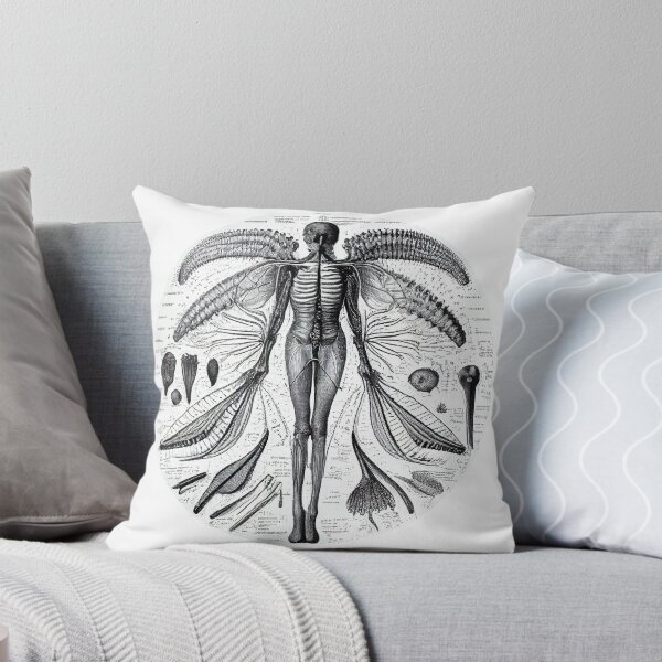 Artikelvorschau, Zahnfee - Anatomische Studie entworfen und verkauft von wonderlandshops.