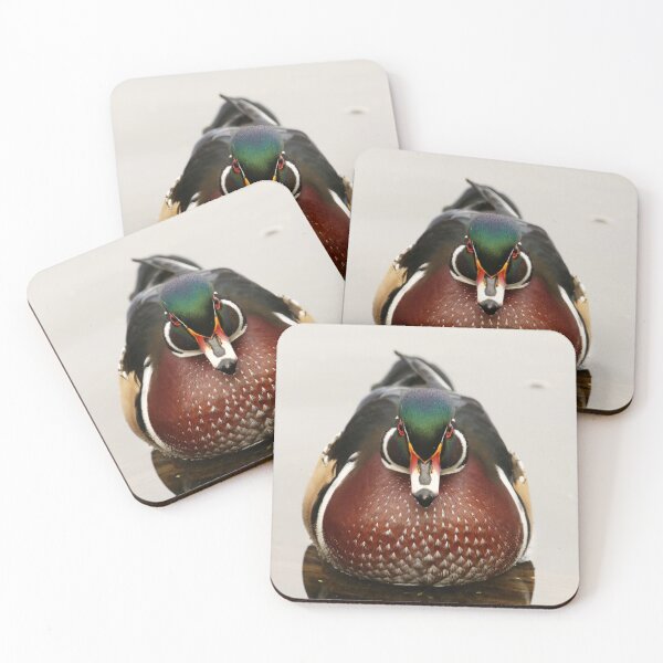 Item preview, Wood Duck Perfection  designed and sold by locustgirl.