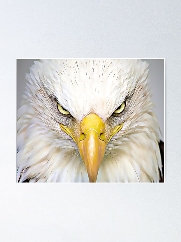 Póster «cara de aguila» de Interesting4You | Redbubble