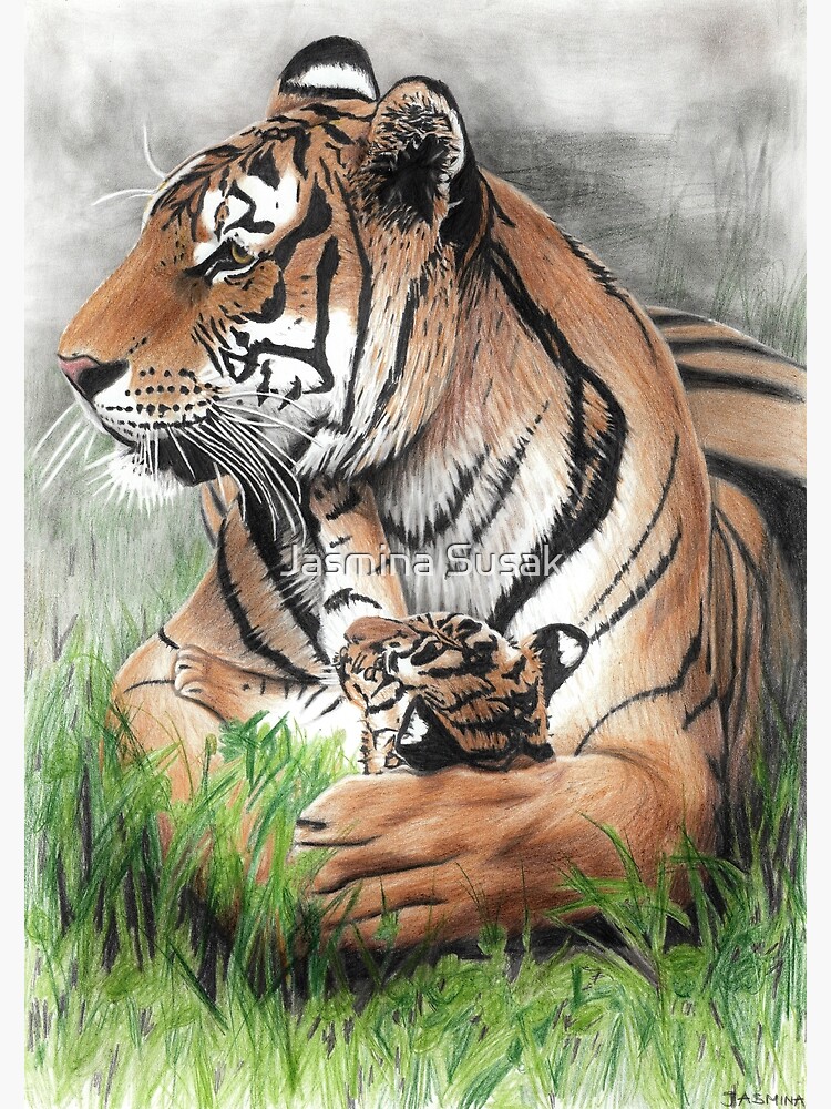 "Mother's Love Tigress And A Tiger Cub - Colored Pencil Drawing" Poster ...