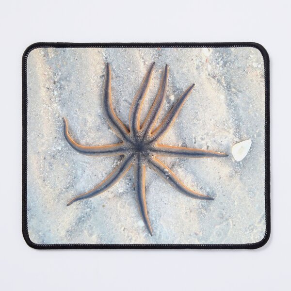 Item preview, Florida Starfish  designed and sold by LeslieMac713.