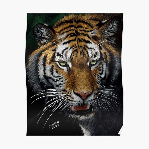 "A Beautiful Tiger - Colored Pencil Drawing" Poster For Sale By ...