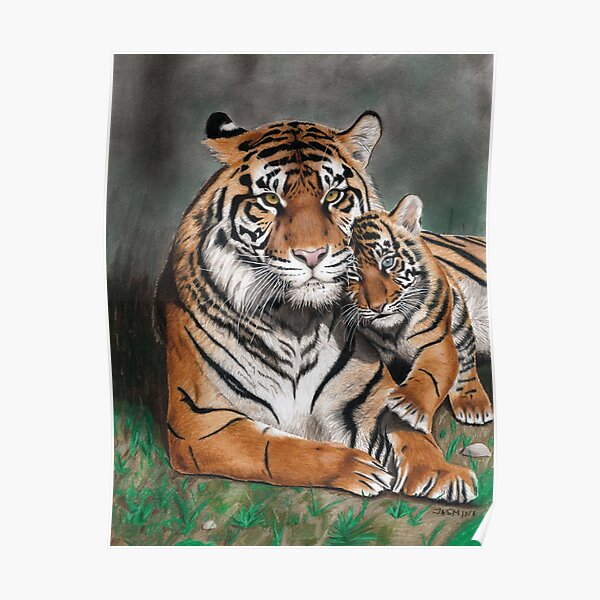 "A Tigress With A Tiger Cub In Love - Colored Pencil Drawing" Poster ...