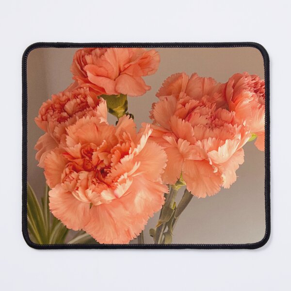Item preview, Bouquet of carnations in salmon color designed and sold by Ponted.