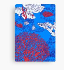 Coral reef Canvas Print
