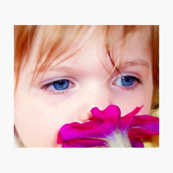 All The Pretty Flowers Photographic Print