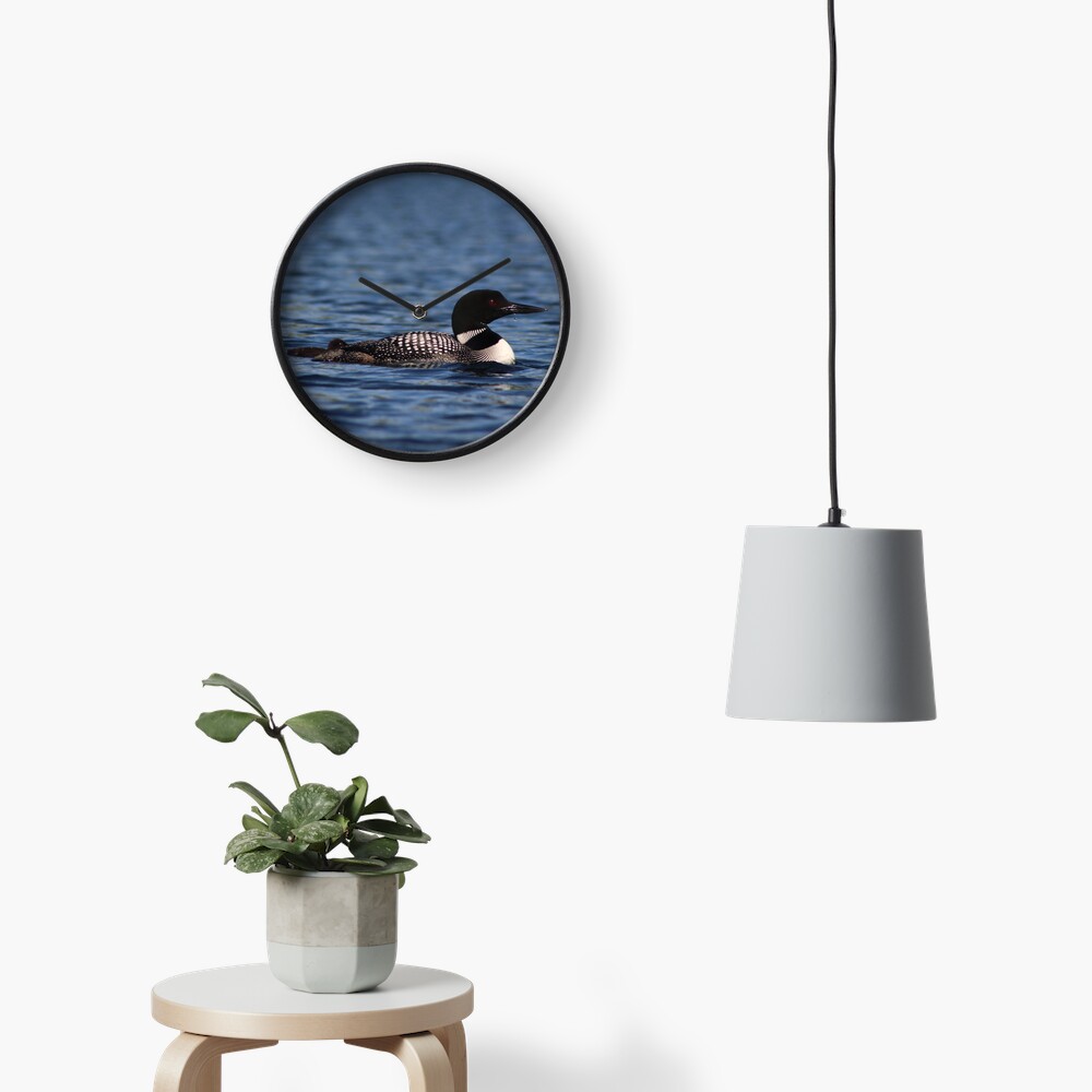 Common Loon Clock
