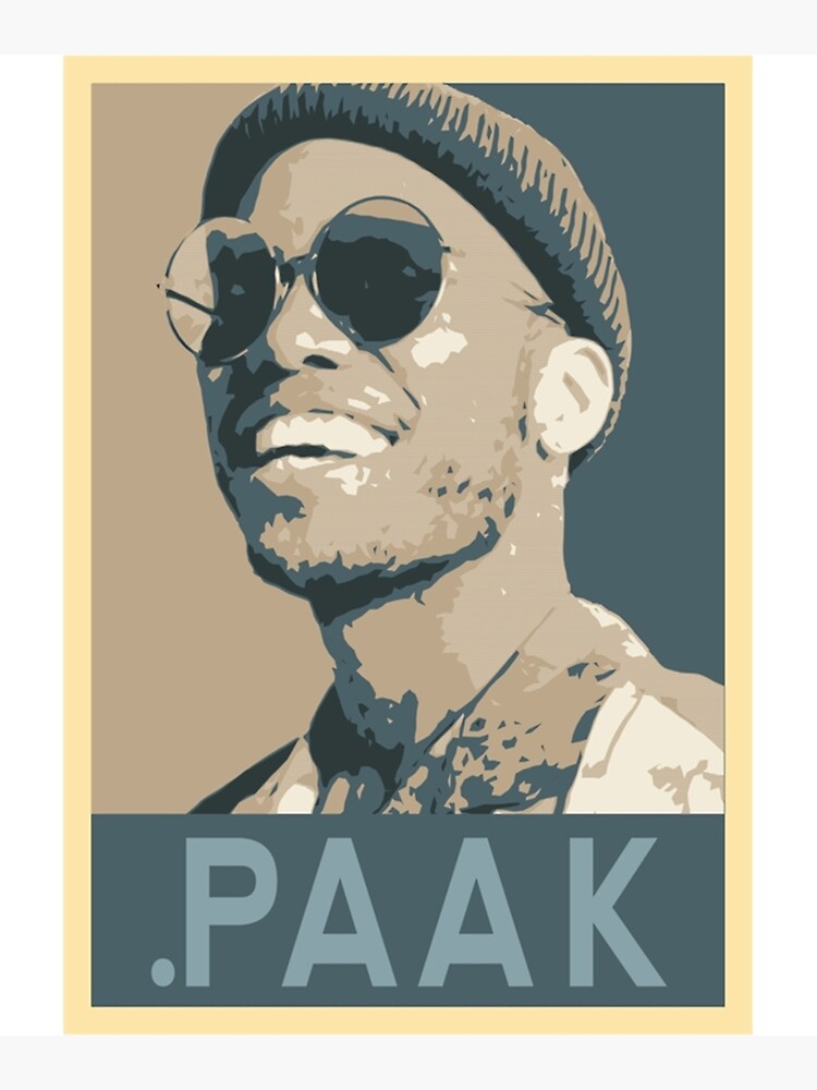 特大⭐︎ANDERSON PAAKポスター