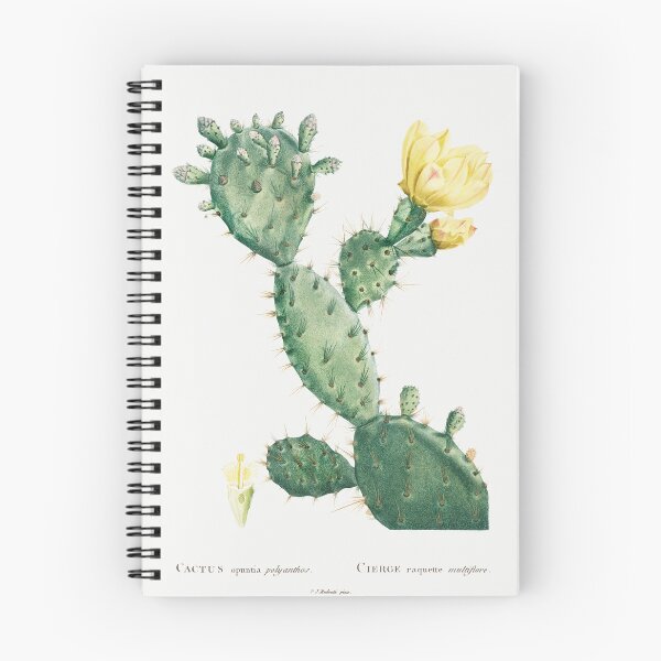 Item preview, Aloe Opuntia Polyanthos by Pierre-Joseph Redouté designed and sold by littleariel.