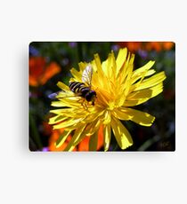 Flower with Wasp Canvas Print