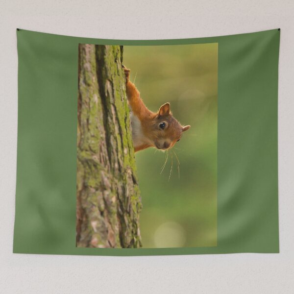 Item preview, Hey you guy's designed and sold by FXST.