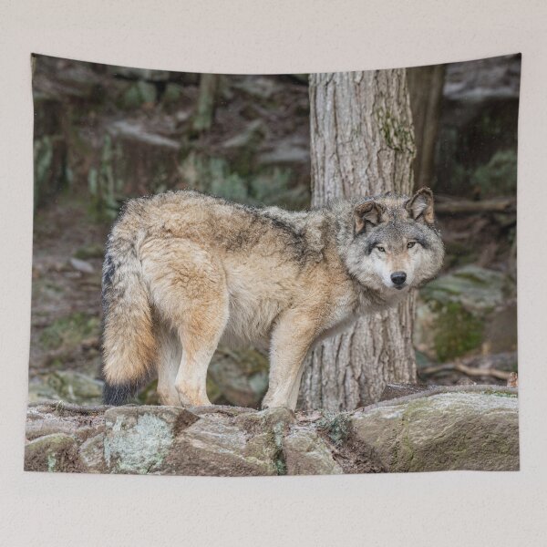 Item preview, Timber Wolf designed and sold by Michael Cummings.