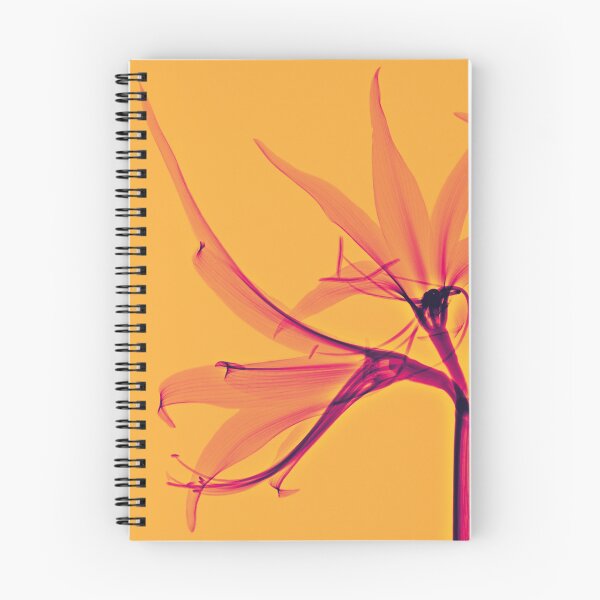 Item preview, Flower in orange and pink, amaryllis designed and sold by Lanuma.