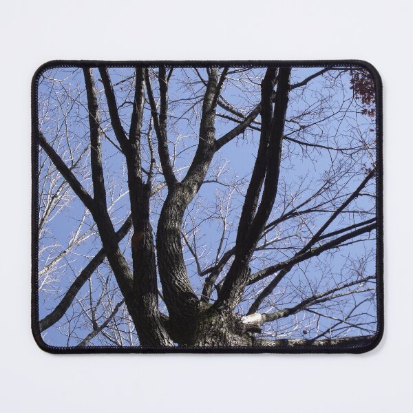 Item preview, Big Tree designed and sold by Thespookyartist.