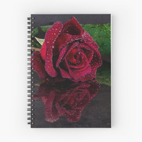 Item preview, Dark Red Rose with reflection designed and sold by DPalmer.