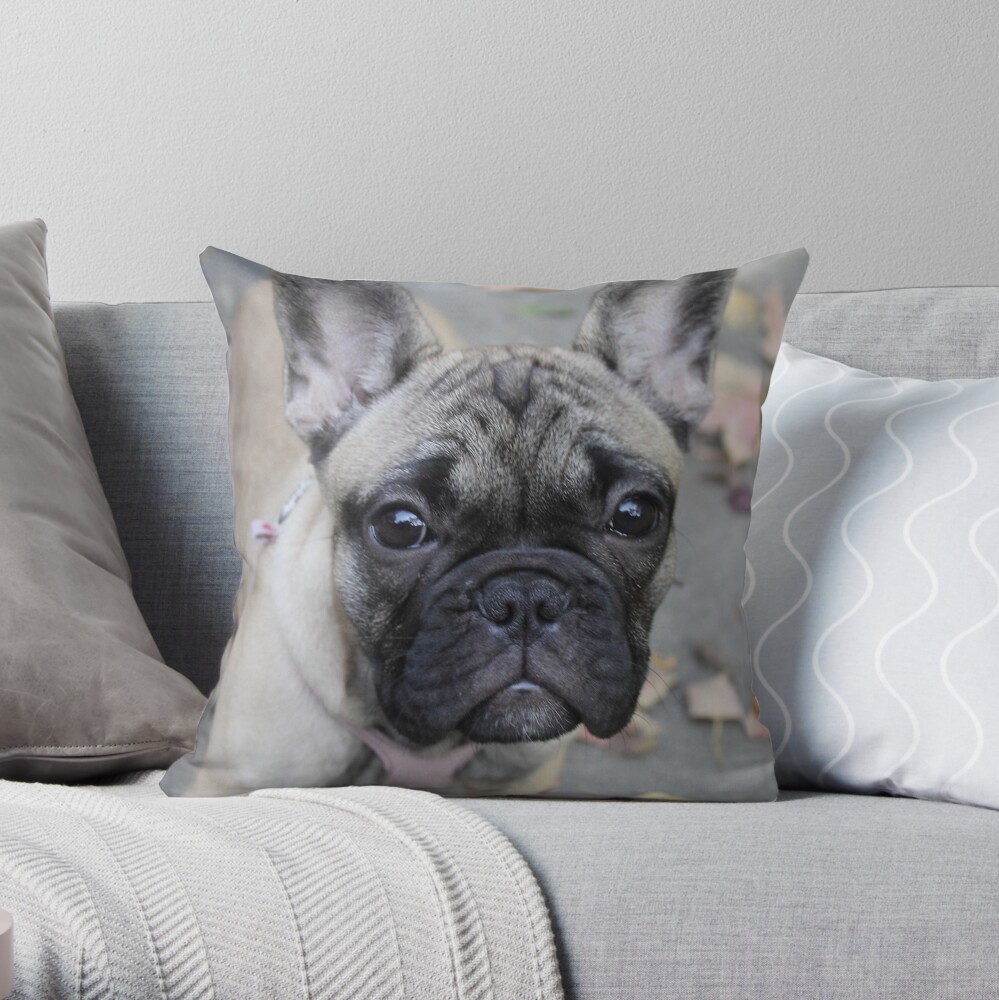 target french bulldog pillow