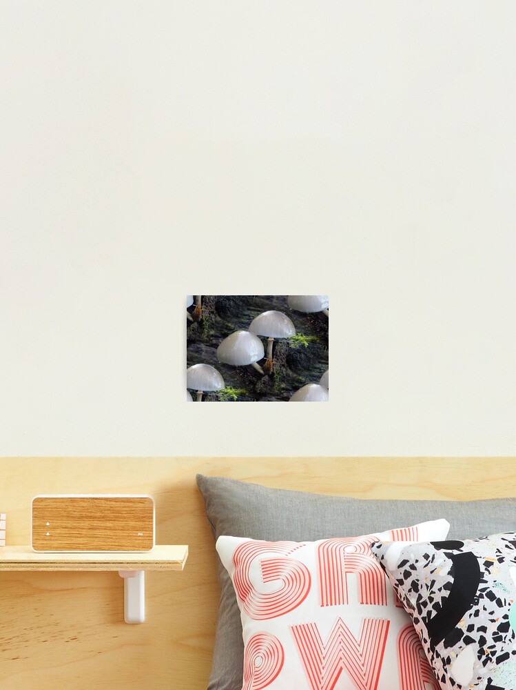Thumbnail 2 of 3, Photographic Print, Toadstool Rows (pattern) designed and sold by Yampimon.