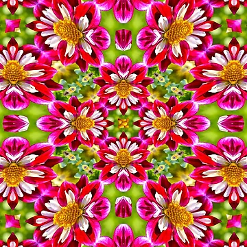 Artwork thumbnail, Colorful Zinnia Pattern by Patternflower