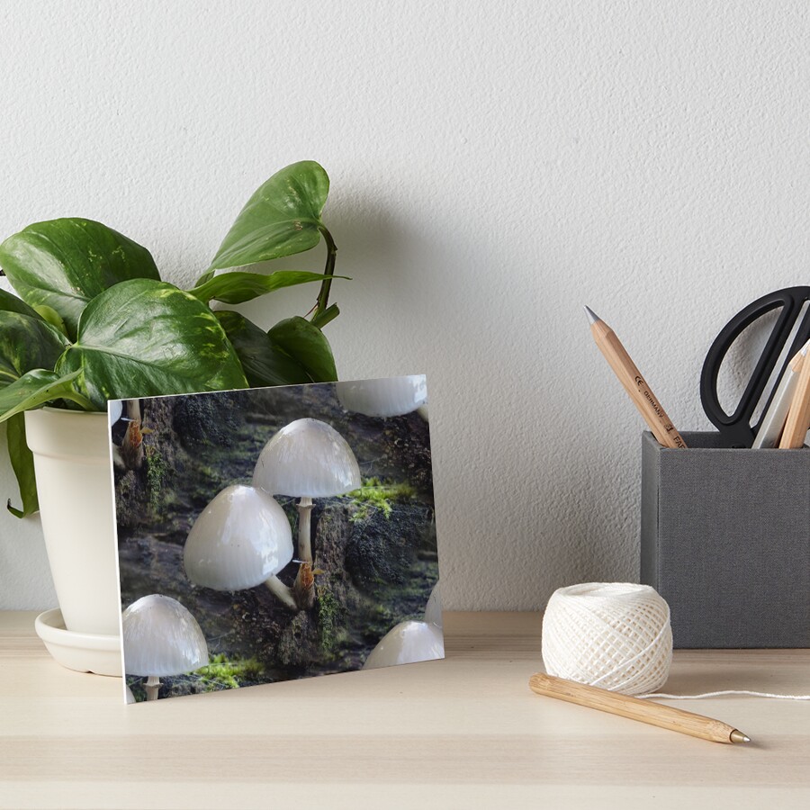 Item preview, Art Board Print designed and sold by Yampimon.