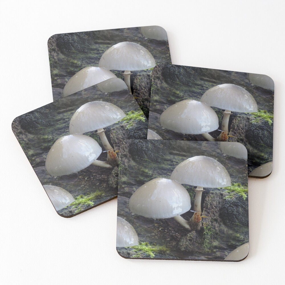 Item preview, Coasters (Set of 4) designed and sold by Yampimon.