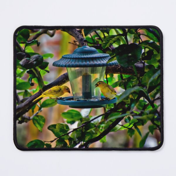 Item preview, Saffron Finches Are Usually In Groups designed and sold by alabca.