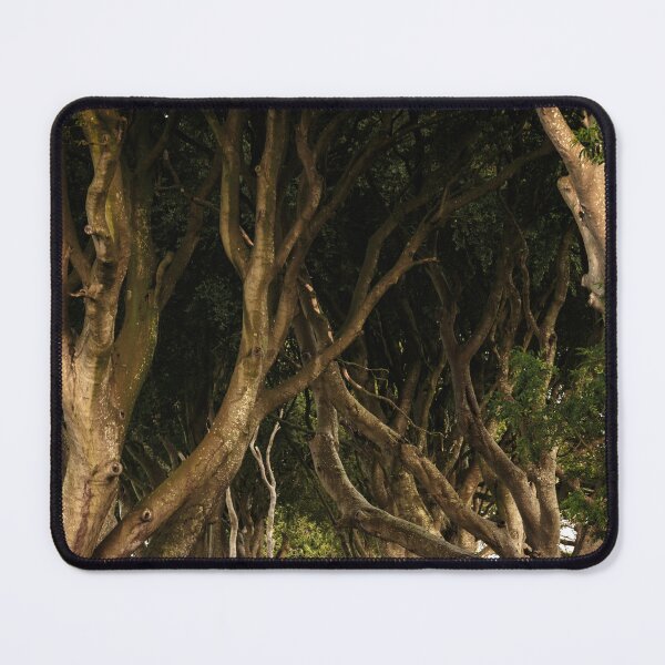 Item preview, The Dark Hedges designed and sold by DiFigianoPhoto.