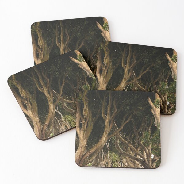 Item preview, The Dark Hedges designed and sold by DiFigianoPhoto.