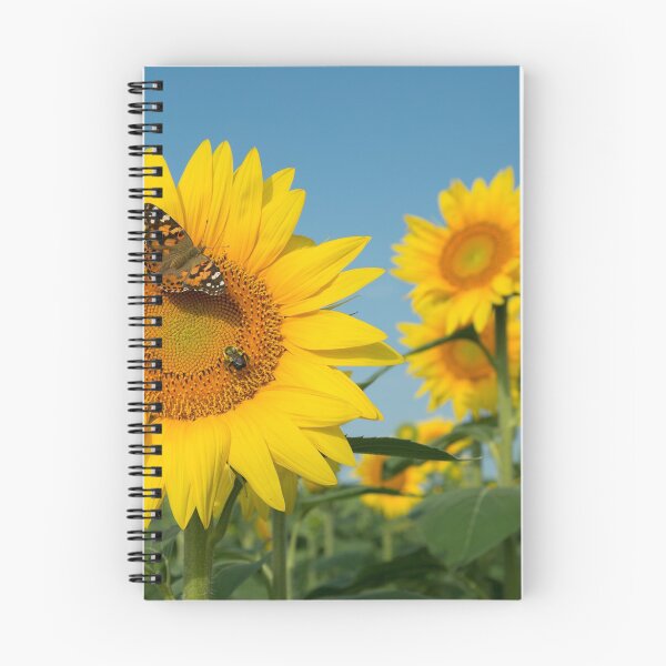 Aperçu de l'œuvre Tournesols VIII créée et vendue par HiddenRockRanch.