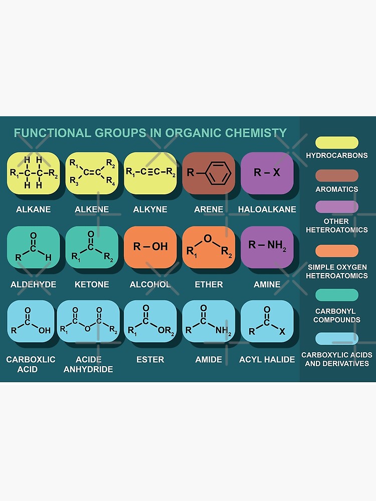 Functional Groups In Organic Chemistry Poster For Sale By Sciencecorner Redbubble 6566
