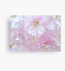 Blossoms in Pastel Pink Canvas Print