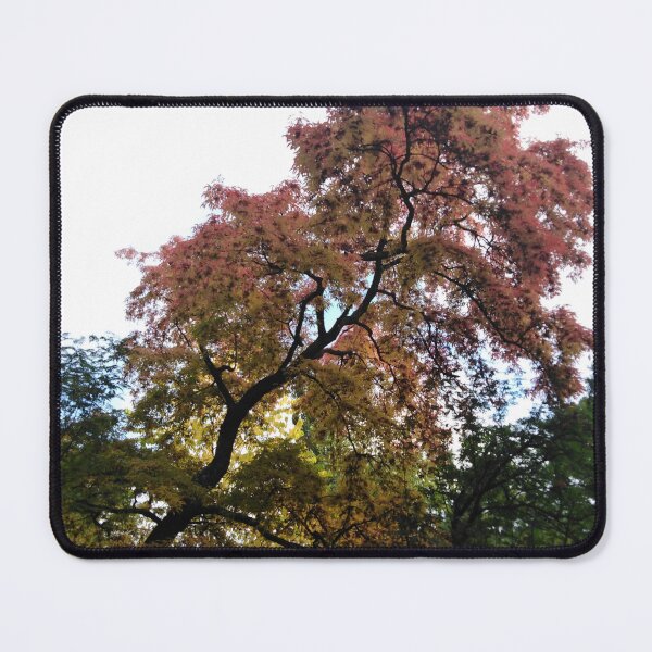 Item preview, Fall magic is here and I love it designed and sold by Raigitam.