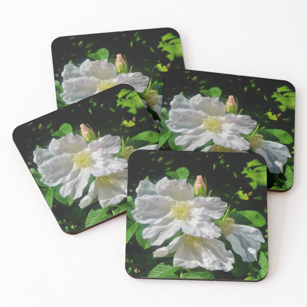 Item preview, Wild White Roses designed and sold by Shulie1.