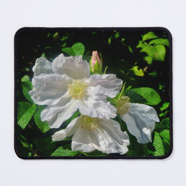 Item preview, Wild White Roses designed and sold by Shulie1.