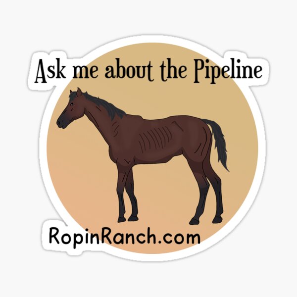 Ask Me About the Pipeline Sticker