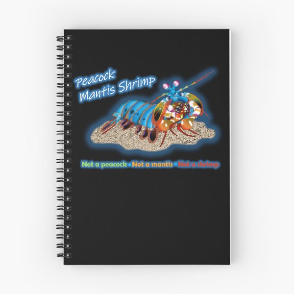 Item preview, Mini-Monsters of the Deep: Peacock Mantis Shrimp designed and sold by Teddy-FauxBear.