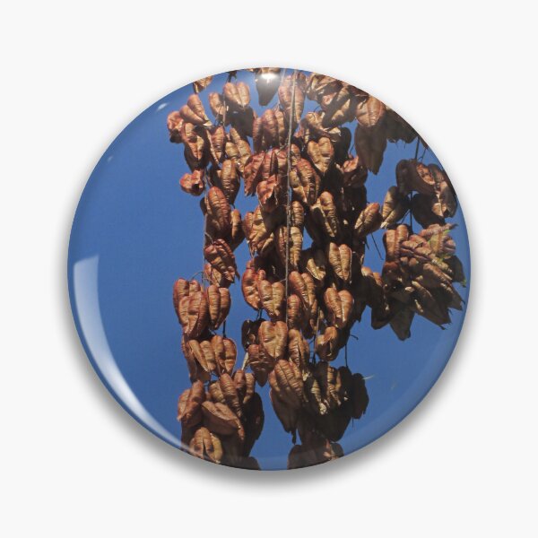 Item preview, Pods. designed and sold by Paul Pasco.
