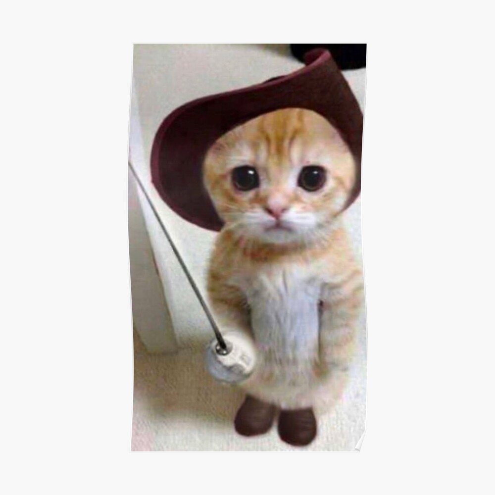 cat in boots meme