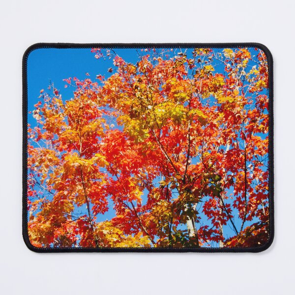 Item preview, Fall Colours designed and sold by Shulie1.