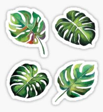 Palm Leaves Sticker