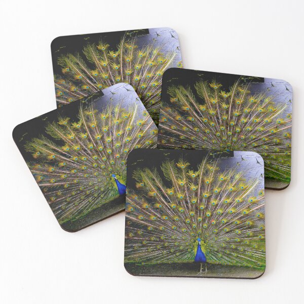 Item preview, Pumapungo Peacock In Full Splendour designed and sold by alabca.