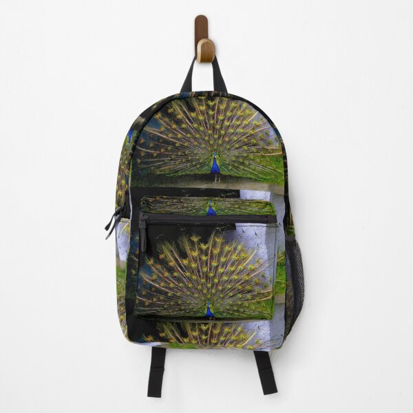 Item preview, Pumapungo Peacock In Full Splendour designed and sold by alabca.