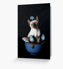 Bird Puss Greeting Card