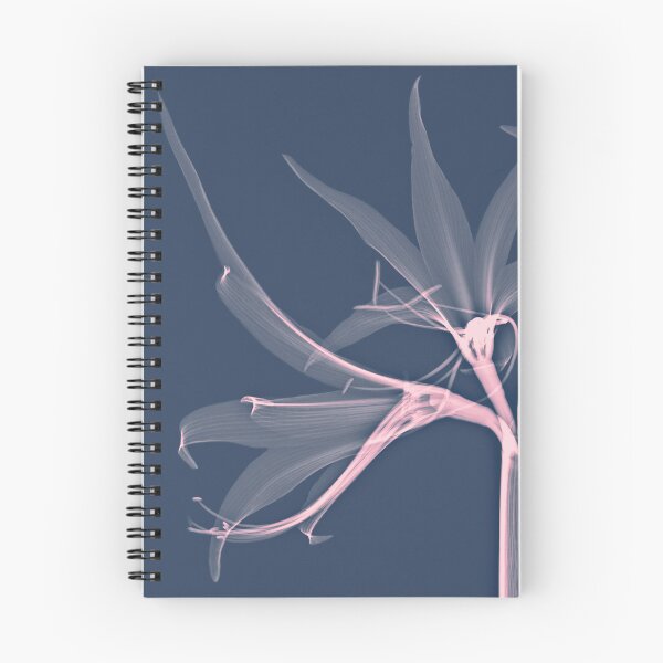Item preview, Flower in blue and pink, amaryllis designed and sold by Lanuma.