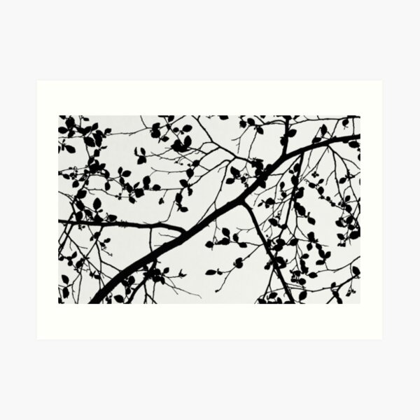 Leaves Art Print