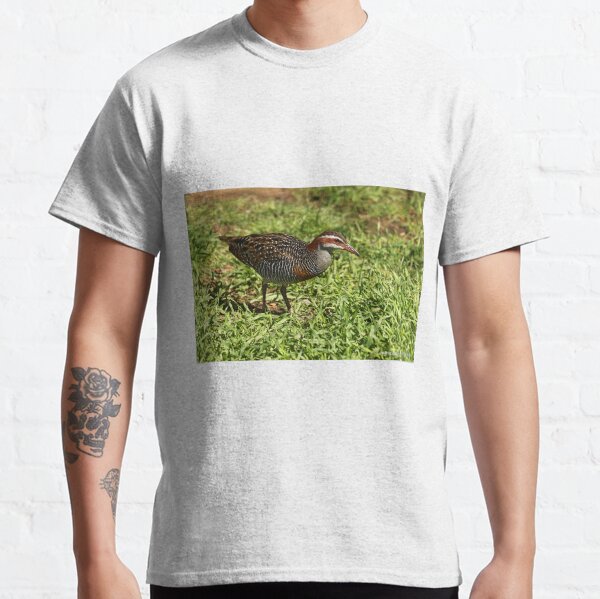 Buff-banded Rail - Lara VIC (720) Classic T-Shirt
