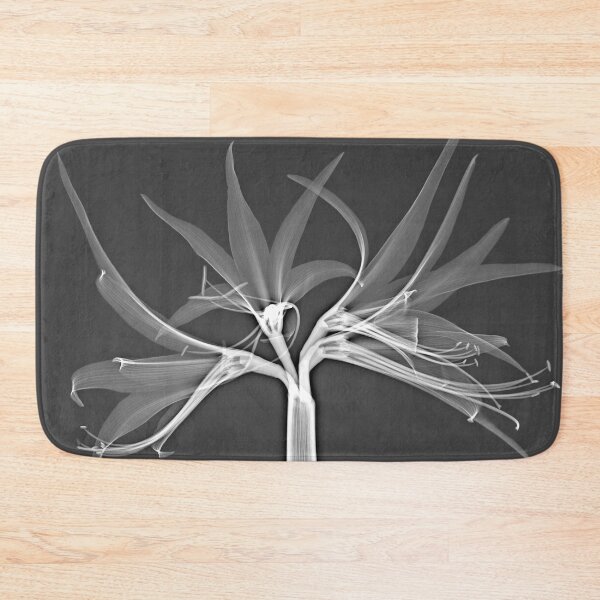 Item preview, Flower in gray and white, amaryllis designed and sold by Lanuma.