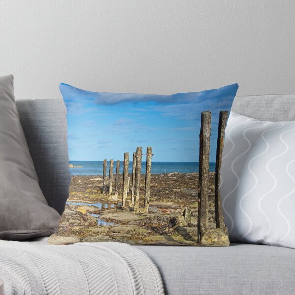Item preview, Groins on the Beach at Whitley Bay designed and sold by Martyn R Arnold Fine Art Nature & Landscape Photography.