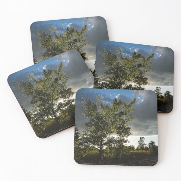 Item preview, Cottonwood Tree Dramatic Light designed and sold by Georgia Mizuleva.